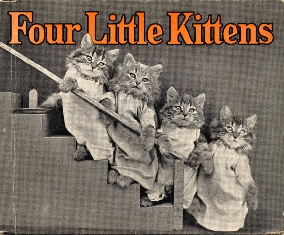 KITTENS FOR RE-HOMING